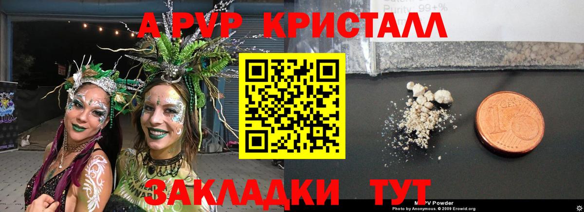 A PVP крисы CK  Альфа ПВП  Курчалой  Вход с VPN 