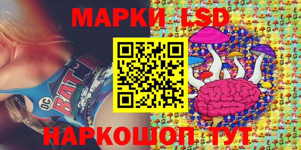 Наркотические марки 1,8мг  Вход с VPN  Курчалой  Наркотические марки 1,8мг 