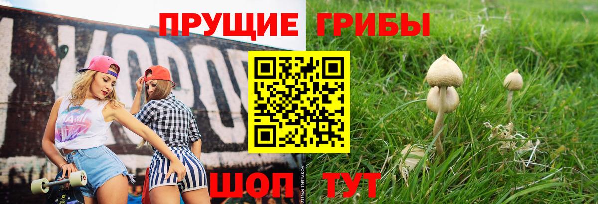 Псилоцибиновые грибы мухоморы  купить   Курчалой  Вход с VPN 